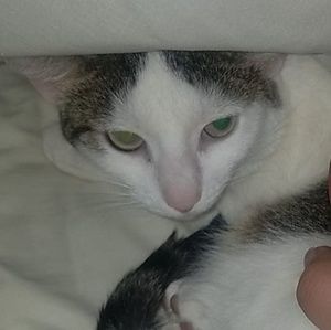 Meet your Posher, Kim